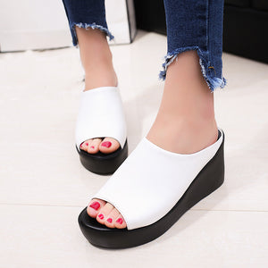 Women Summer Fashion Leisure Fish Mouth Sandals Thick Bottom Slippers - Chirse Clothing Company 